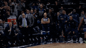 derrick rose replay GIF by NBA