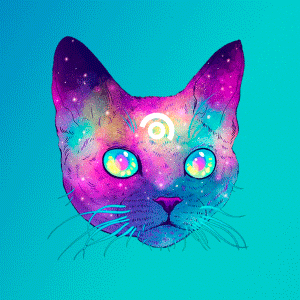 webest cat space magic kitty GIF