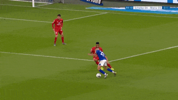 Football Soccer GIF by FC Schalke 04