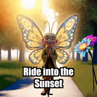 Weekend Bike GIF by BuddhaFlyJourney