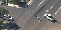 llama lol GIF by Digg