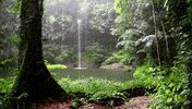 oc waterfall GIF