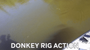 GIF by Mystery Tackle Box