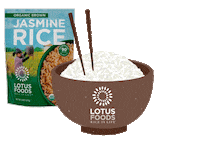 lotusfoods vegan noodles rice glutenfree Sticker