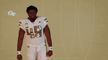 Georgia Tech Football Sport GIF by Georgia Tech Yellow Jackets