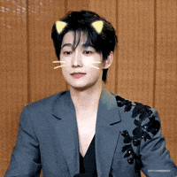Cat Yangyang GIF