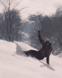 NideckerSnowboards japan snowboard spray snowboarding GIF