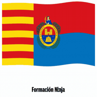 Comunitat Valenciana Flag GIF by Formación Ninja