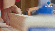Living Make Over GIF by MolaTV