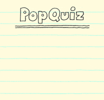 Pop Quiz Love GIF by Chippy the Dog
