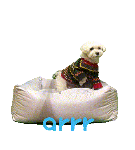아르르 Sticker by arrr_official