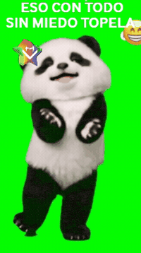 Sin Miedo Feliz GIF by Murcianys LLC