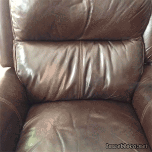 Video gif. A dog gets tossed onto a leather chair and nestles into it.