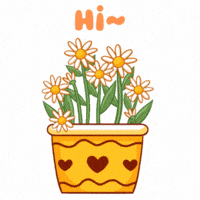 Happy Good Morning GIF