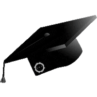 Festa Capelo Sticker by sejaskyeventos