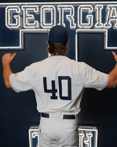 Georgia Tech Baseball GIF by Georgia Tech Yellow Jackets
