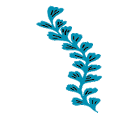 Azul Naturaleza Sticker by Greta