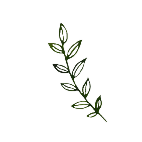 Julia_Ili giphyupload summer green spring Sticker