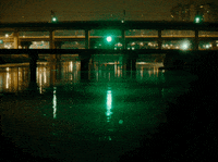 Girls Rule Pop Punk GIF by Universal Music Australia