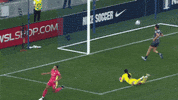 Womens Soccer Dance GIF by National Women's Soccer League
