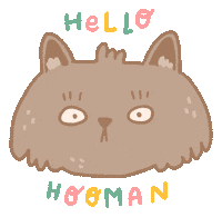 Good Morning Hello Sticker