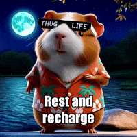 Rest Manifestation GIF by Guinea Gambino