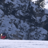 Olympic Games Sport GIF by NBC Olympics