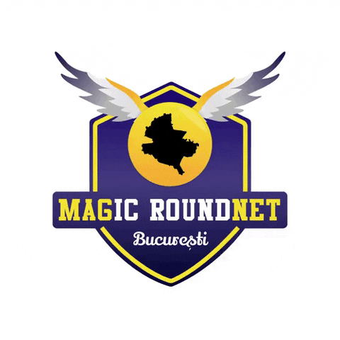 Magic Romania GIF by roundnet.ro
