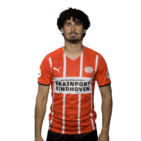 Football Celebrate Sticker by PSV