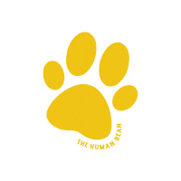Thehumanbean Pupcup Thehumanbean Sticker by Human Bean
