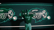 Ndsu Baseball GIF by NDSU Athletics