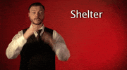 sign language shelter GIF by Sign with Robert
