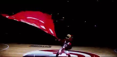 atlanta hawks waving flag GIF by NBA