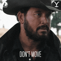 Stay Here Paramount Network GIF by Yellowstone