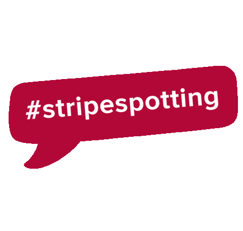 speech bubble stripespotting Sticker by Hudson's Bay
