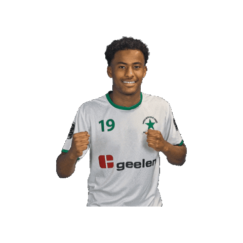 Sport Heerlen Sticker by Groene ster