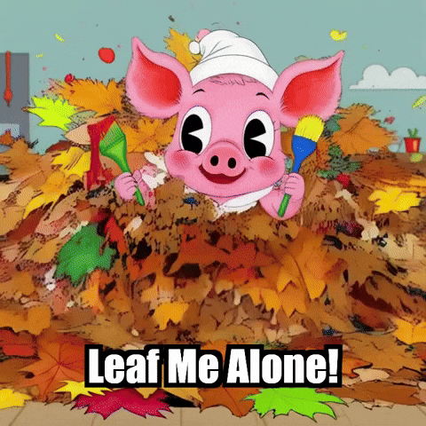 Pigassocharacter GIF by The Pigasso