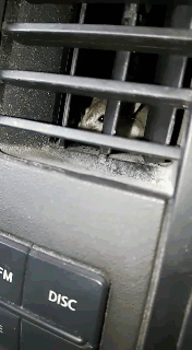guy way GIF