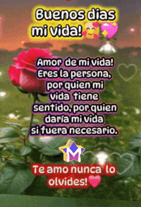 Tiene Te Amo GIF by Murcianys LLC