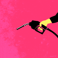 Global Warming Fox GIF by Animation Domination High-Def