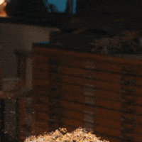 Xmas GIF by BILLA
