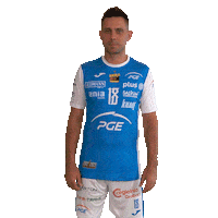 Belchatow Sticker by PGE Skra Bełchatów