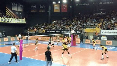 insights___ giphyupload GIF