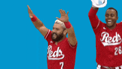 Excited Major League Baseball GIF by MLB