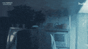 Nps GIF by HULU