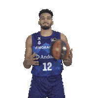 Liga Endesa Sport Sticker by ACB