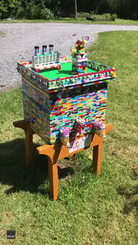 Un-bee-lievable! Beekeeper Builds Fully Functioning Lego Hive