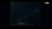 Knocking Stephen King GIF by Chapelwaite