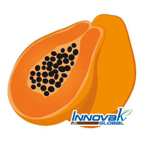 Papaya Mamao Sticker by Innovak Global