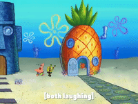 season 7 GIF by SpongeBob SquarePants
